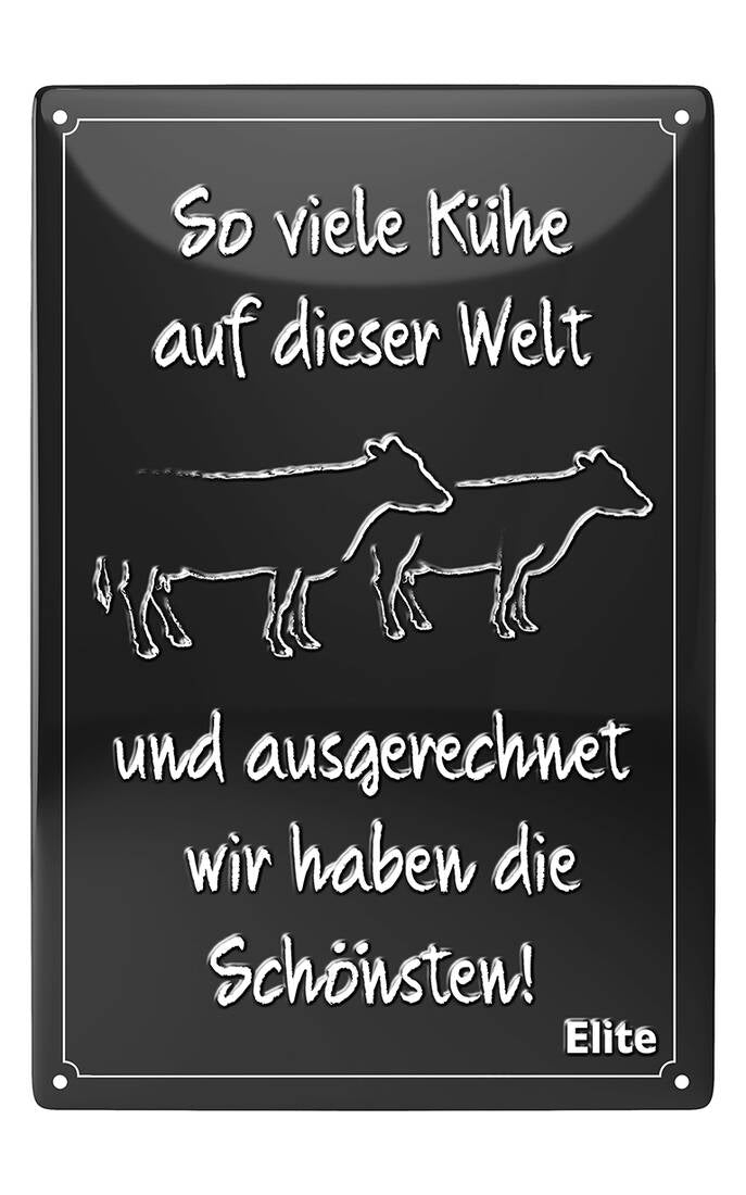 hochwertiges Blechschild So viele Kühe