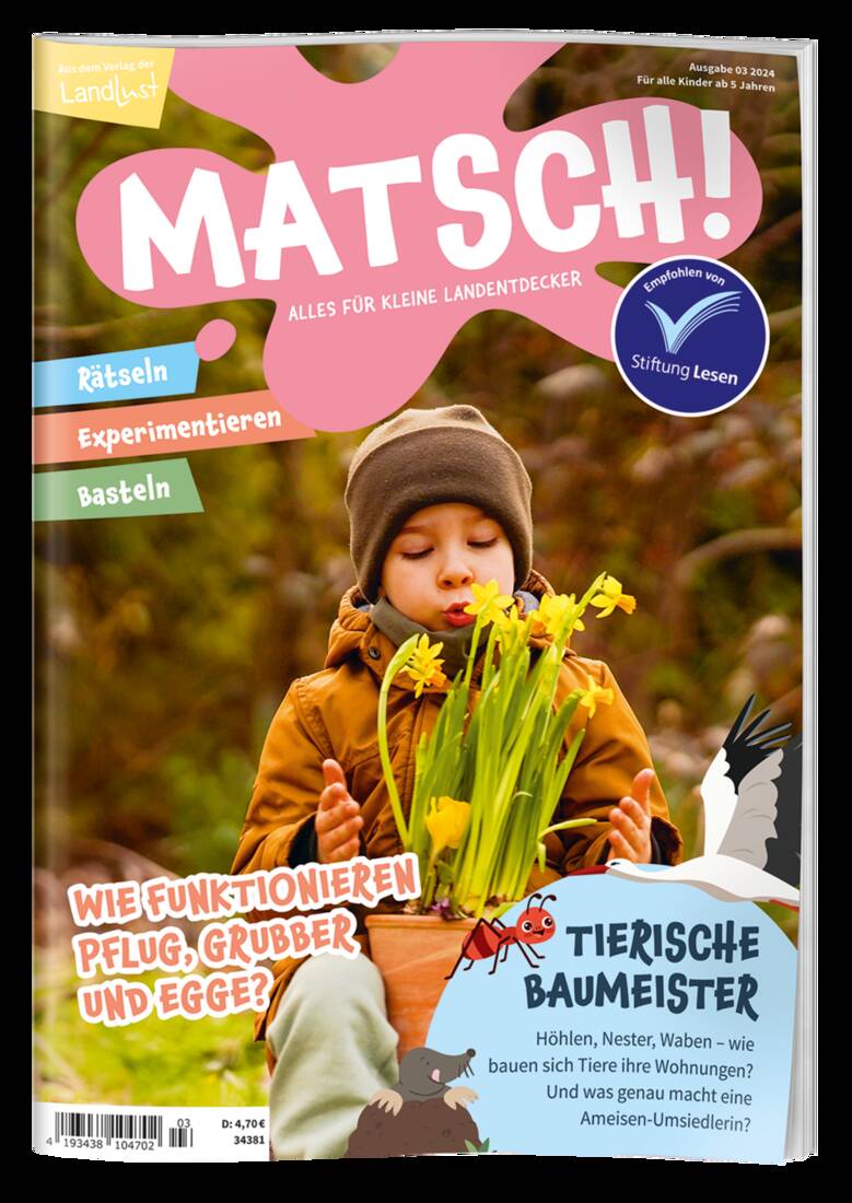 Matsch 3/24