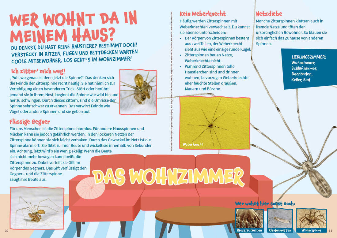Matsch 2/26